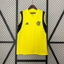 Camisa Flamengo Regata 24/25 - Amarela