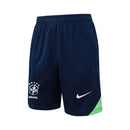 Conjunto Brasil Treino 25/26  - Verde